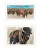 Trendy Decor 4U "The Boss of the Bison Herd" Framed Wall Art for Living Room, Wall Art Print for Home Decor, Bedroom Wall Art by Cindy Jacobs