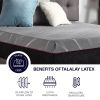 Bridgevine Home 11 inch Renew Cooling Fast Responding Latex Foam Adult Mattress, Queen Size